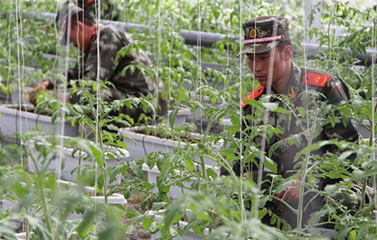 ���Z׃�F(xi��n)��(sh��)����ԭ�ٱ���������